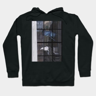 New York sea ocean Hoodie